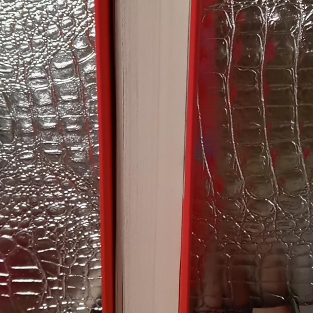 Book - Picture 3 of 5